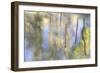 Tree Reflections I-Kathy Mahan-Framed Photographic Print
