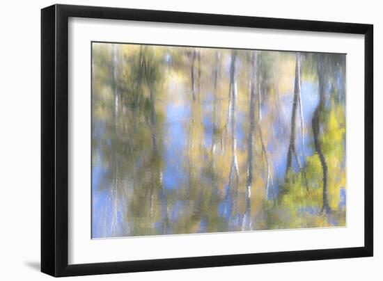 Tree Reflections I-Kathy Mahan-Framed Photographic Print