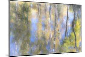 Tree Reflections I-Kathy Mahan-Mounted Photographic Print