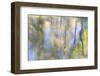 Tree Reflections I-Kathy Mahan-Framed Premium Photographic Print