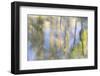 Tree Reflections I-Kathy Mahan-Framed Premium Photographic Print