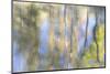 Tree Reflections I-Kathy Mahan-Mounted Photographic Print