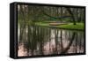 Tree Reflections in Pond-Anna Miller-Framed Stretched Canvas