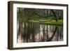 Tree Reflections in Pond-Anna Miller-Framed Photographic Print