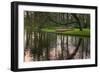 Tree Reflections in Pond-Anna Miller-Framed Photographic Print