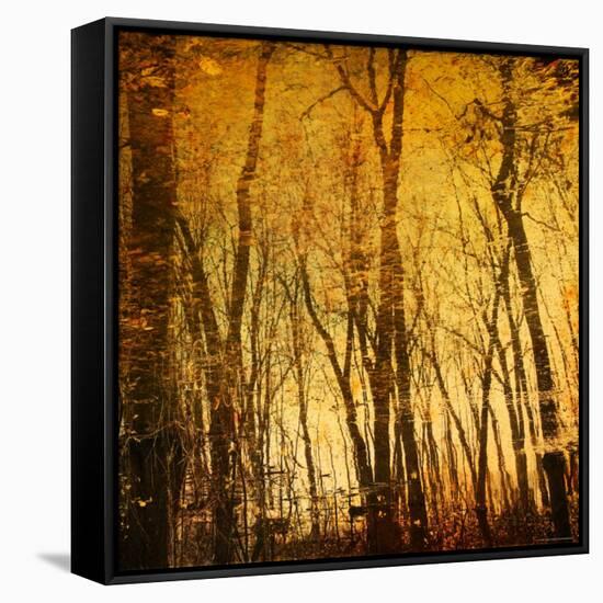 Tree Reflections-Irene Suchocki-Framed Stretched Canvas