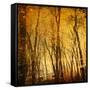 Tree Reflections-Irene Suchocki-Framed Stretched Canvas