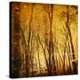 Tree Reflections-Irene Suchocki-Stretched Canvas