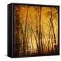 Tree Reflections-Irene Suchocki-Framed Stretched Canvas