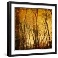 Tree Reflections-Irene Suchocki-Framed Photographic Print