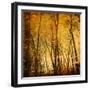 Tree Reflections-Irene Suchocki-Framed Photographic Print