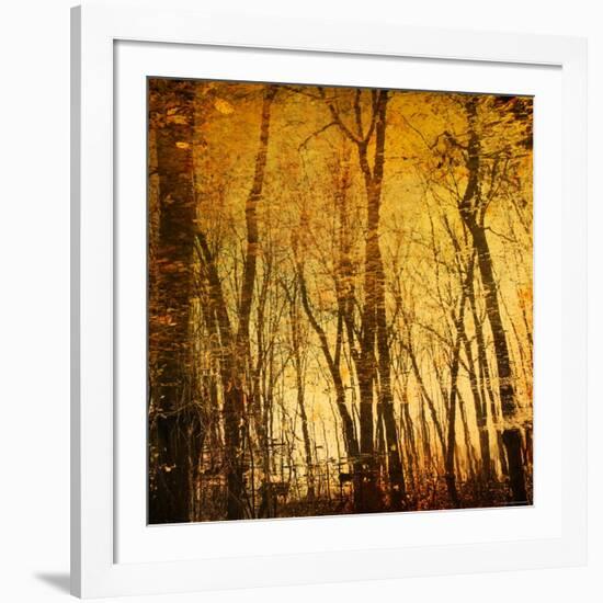 Tree Reflections-Irene Suchocki-Framed Photographic Print