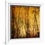 Tree Reflections-Irene Suchocki-Framed Photographic Print