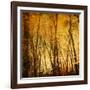 Tree Reflections-Irene Suchocki-Framed Photographic Print