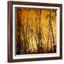 Tree Reflections-Irene Suchocki-Framed Photographic Print