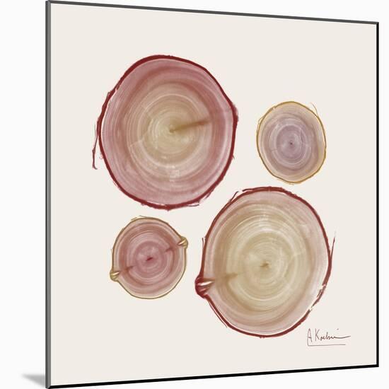 Tree Ring 11-Albert Koetsier-Mounted Art Print