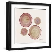 Tree Ring 11-Albert Koetsier-Framed Art Print