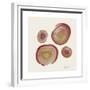 Tree Ring 12-Albert Koetsier-Framed Premium Giclee Print