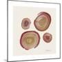 Tree Ring 12-Albert Koetsier-Mounted Premium Giclee Print