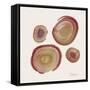 Tree Ring 12-Albert Koetsier-Framed Stretched Canvas