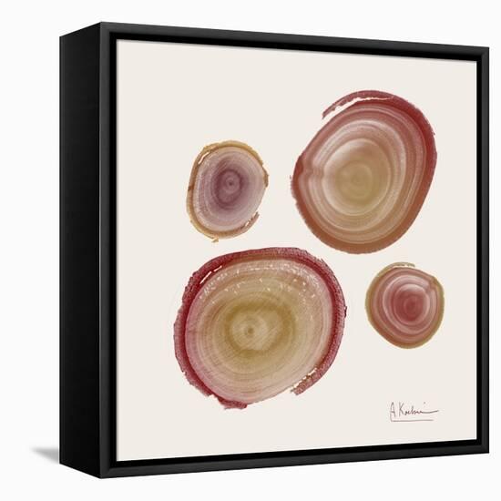 Tree Ring 12-Albert Koetsier-Framed Stretched Canvas