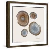 Tree Ring 19-Albert Koetsier-Framed Art Print