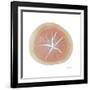 Tree Ring 5-Albert Koetsier-Framed Art Print