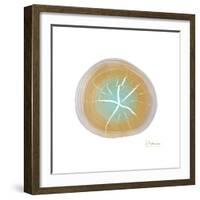 Tree Ring 7-Albert Koetsier-Framed Premium Giclee Print