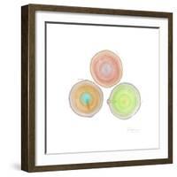 Tree Ring 9-Albert Koetsier-Framed Premium Giclee Print