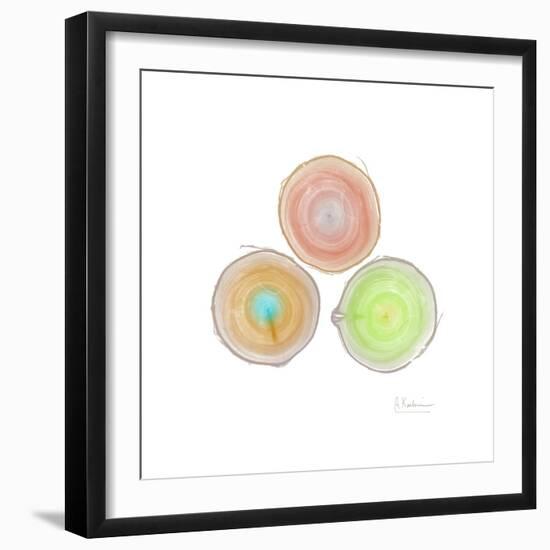 Tree Ring 9-Albert Koetsier-Framed Premium Giclee Print