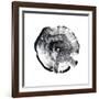 Tree Ring Abstract I-Ethan Harper-Framed Art Print