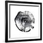 Tree Ring Abstract I-Ethan Harper-Framed Art Print