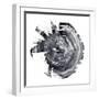 Tree Ring Abstract II-Ethan Harper-Framed Art Print