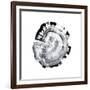 Tree Ring Abstract III-Ethan Harper-Framed Art Print