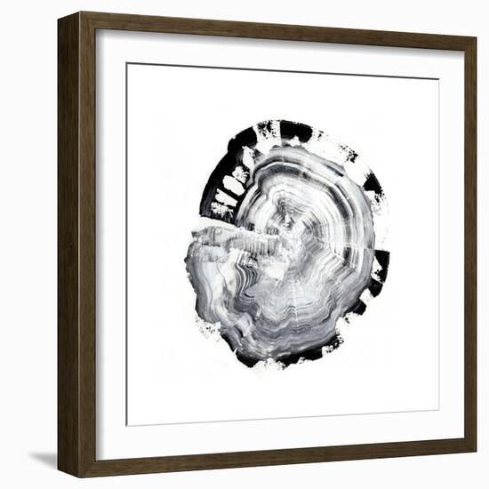 Tree Ring Abstract III-Ethan Harper-Framed Art Print