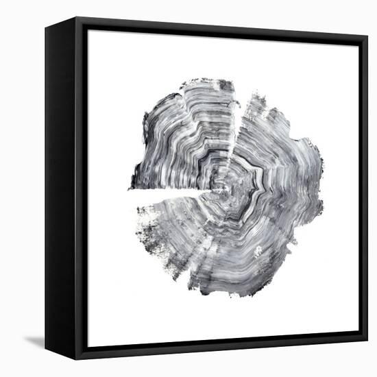 Tree Ring Abstract IV-Ethan Harper-Framed Stretched Canvas