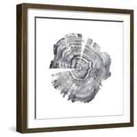 Tree Ring Abstract IV-Ethan Harper-Framed Art Print