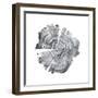 Tree Ring Abstract IV-Ethan Harper-Framed Art Print