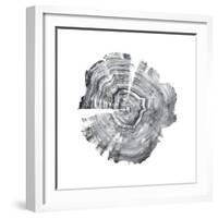 Tree Ring Abstract IV-Ethan Harper-Framed Art Print