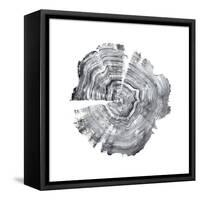 Tree Ring Abstract IV-Ethan Harper-Framed Stretched Canvas