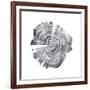 Tree Ring Abstract IV-Ethan Harper-Framed Art Print