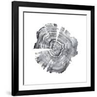 Tree Ring Abstract IV-Ethan Harper-Framed Art Print