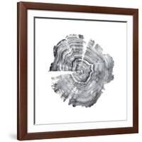 Tree Ring Abstract IV-Ethan Harper-Framed Art Print