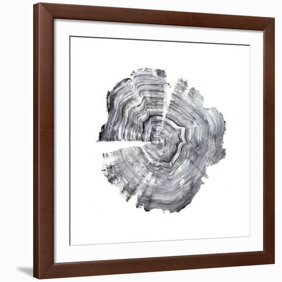 Tree Ring Abstract IV-Ethan Harper-Framed Art Print