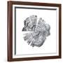 Tree Ring Abstract IV-Ethan Harper-Framed Art Print