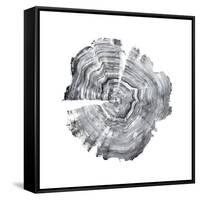 Tree Ring Abstract IV-Ethan Harper-Framed Stretched Canvas