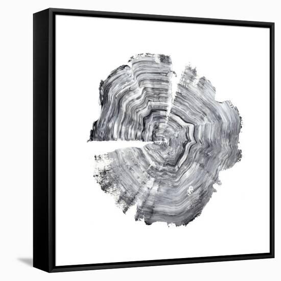 Tree Ring Abstract IV-Ethan Harper-Framed Stretched Canvas