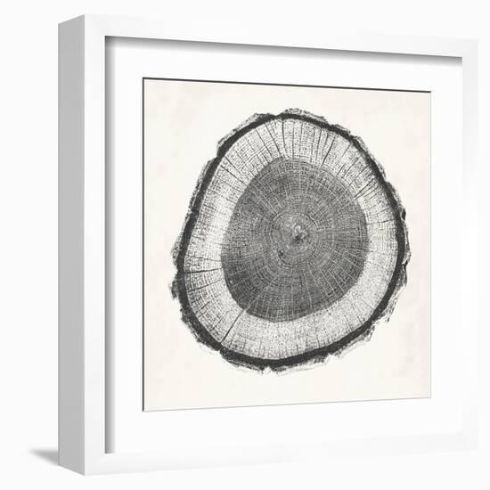 Tree Ring II-Vision Studio-Framed Art Print