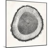 Tree Ring II-Vision Studio-Mounted Art Print