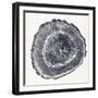 Tree Ring III-Vision Studio-Framed Art Print